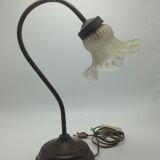Old brass with tulip gooseneck light