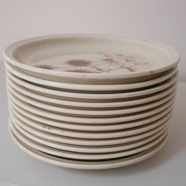 Set of 6 dessert plates in Sarreguemines sandstone, thistle pattern