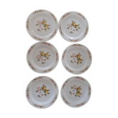 6 Flat plates Normandy apple decoration Arcopal france