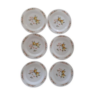 6 Flat plates Normandy apple decoration Arcopal france