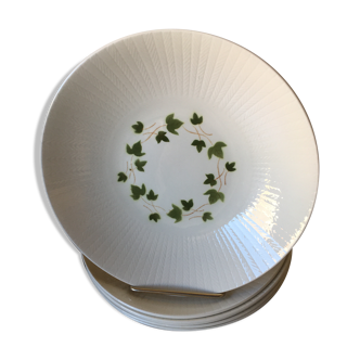 6 hollow plates ceranord squall pattern