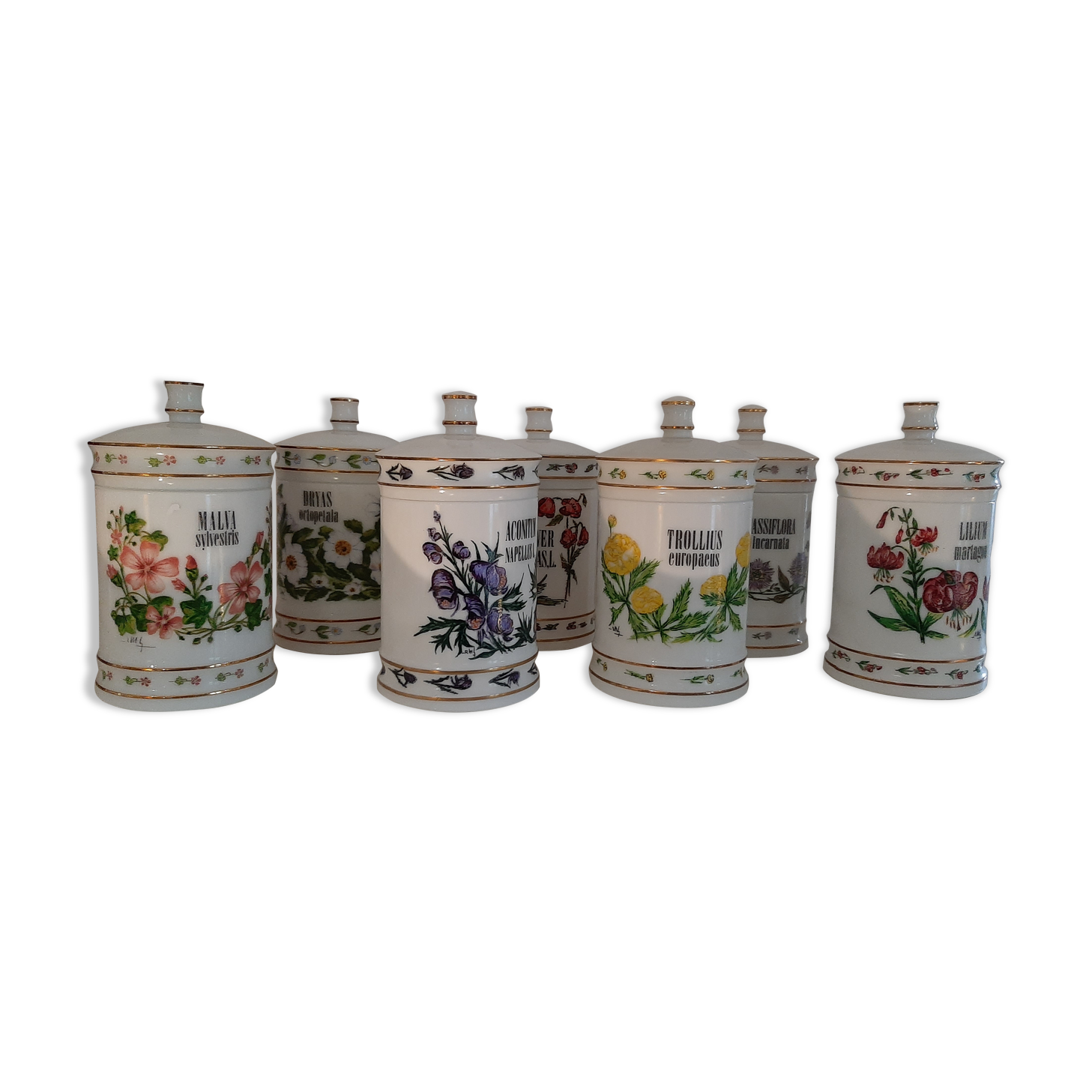 Series of 7 pharmacy jars in opaline