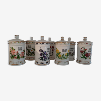 Series of 7 pharmacy jars in opaline