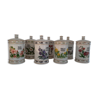 Series of 7 pharmacy jars in opaline