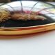Medallion frame dried flowers