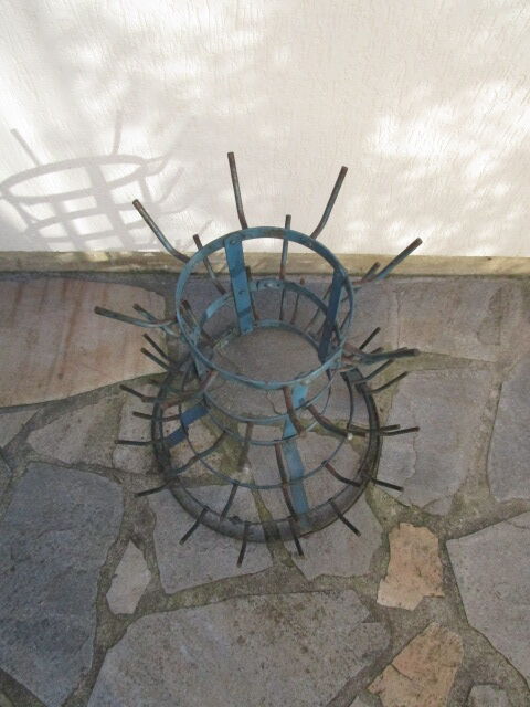 Yew tree, bottle rack or bottle hedgehog