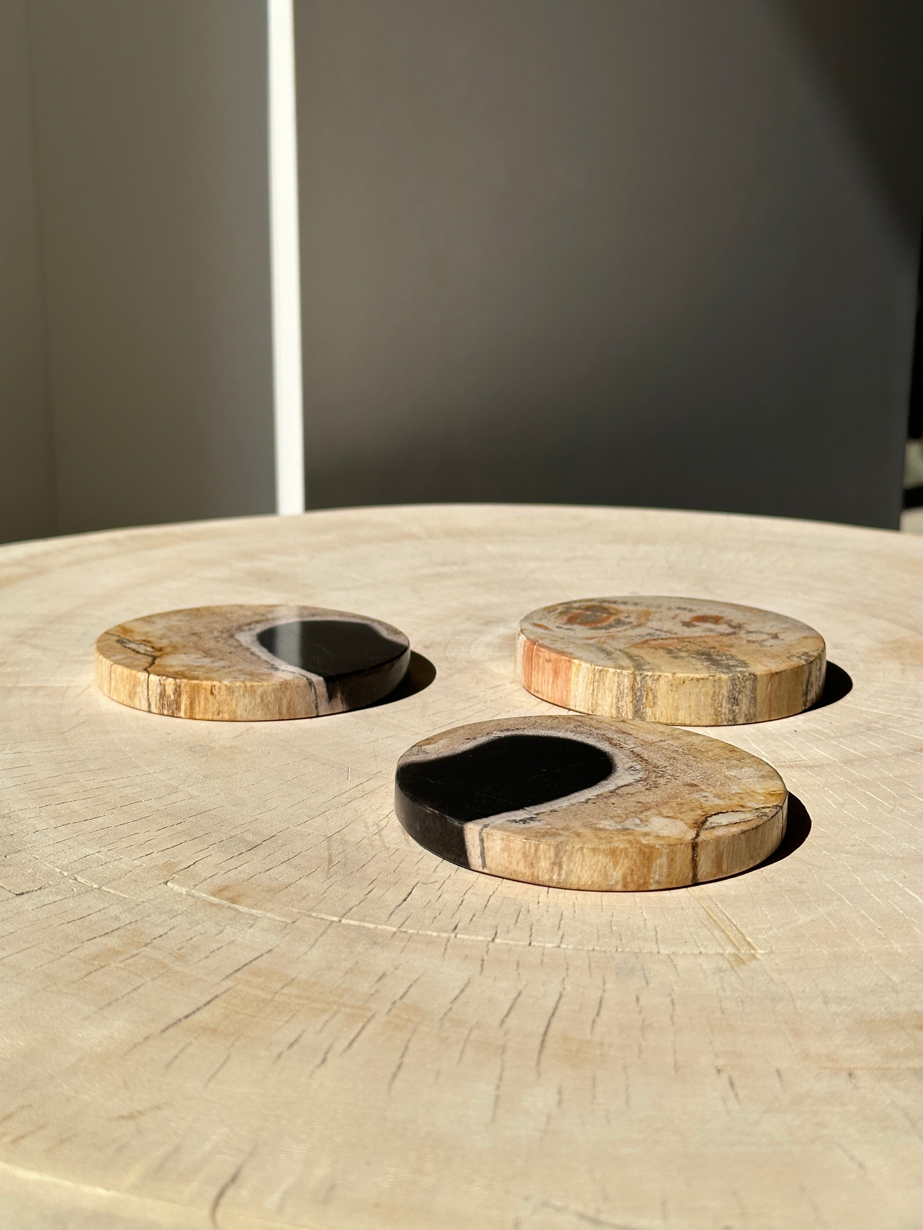 Set of 3 fossilized wooden coasters (clear)