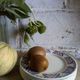 Six dessert plates in Saint-Amand service "Toulouse"