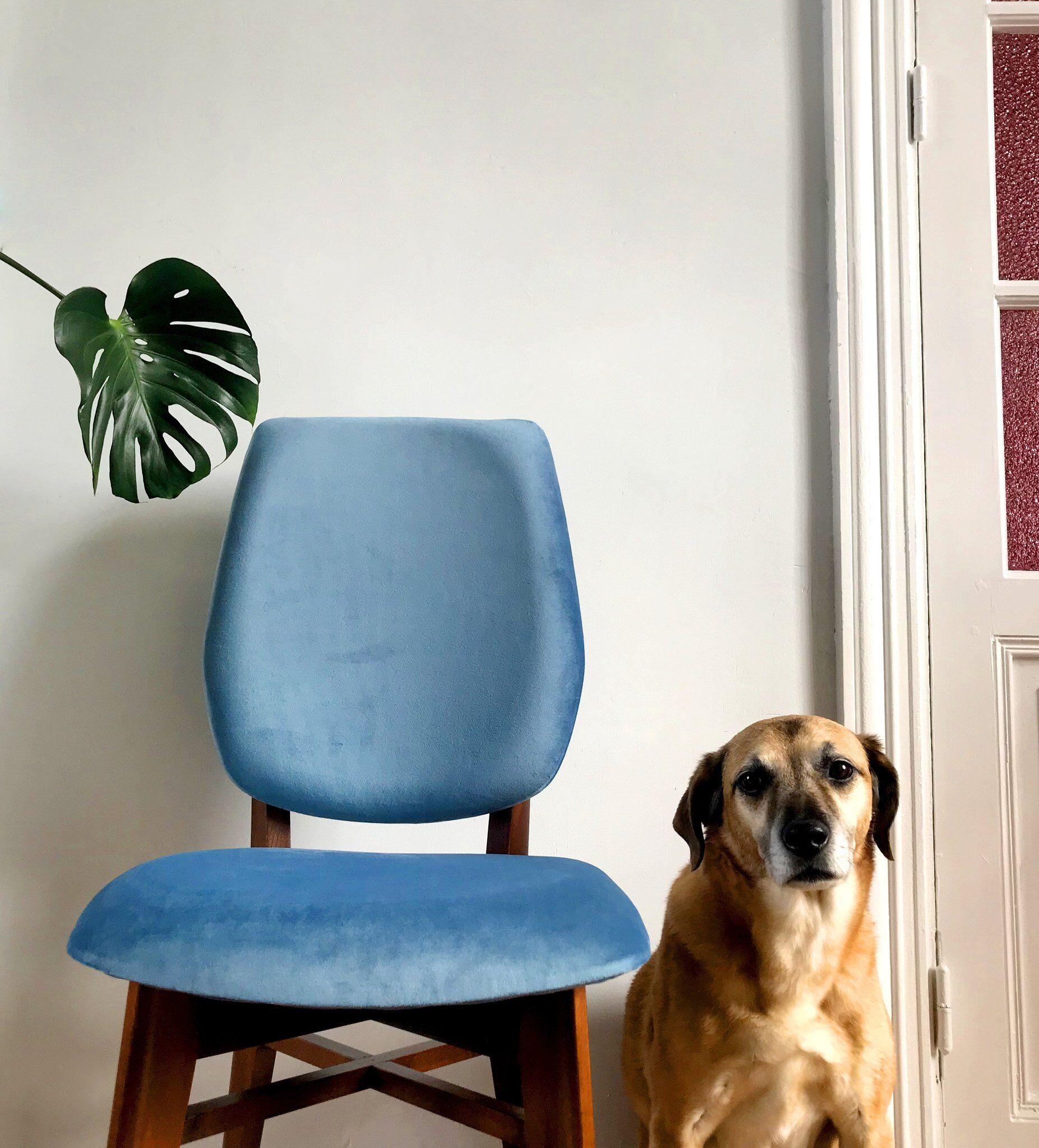 Re-upholstered vintage chair