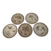 5 Assiettes faïence de Pexonne 19 ème siècle -Décor oiseaux insectes fleurs