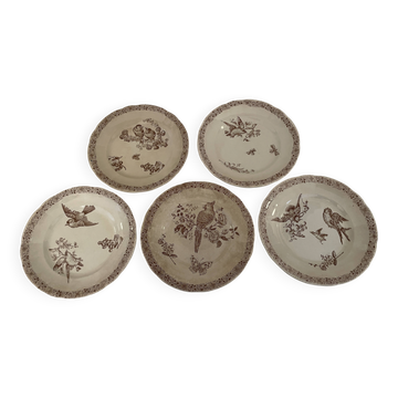 5 Pexonne earthenware plates from the 19th century - Decorated with birds, insects, and flowers.