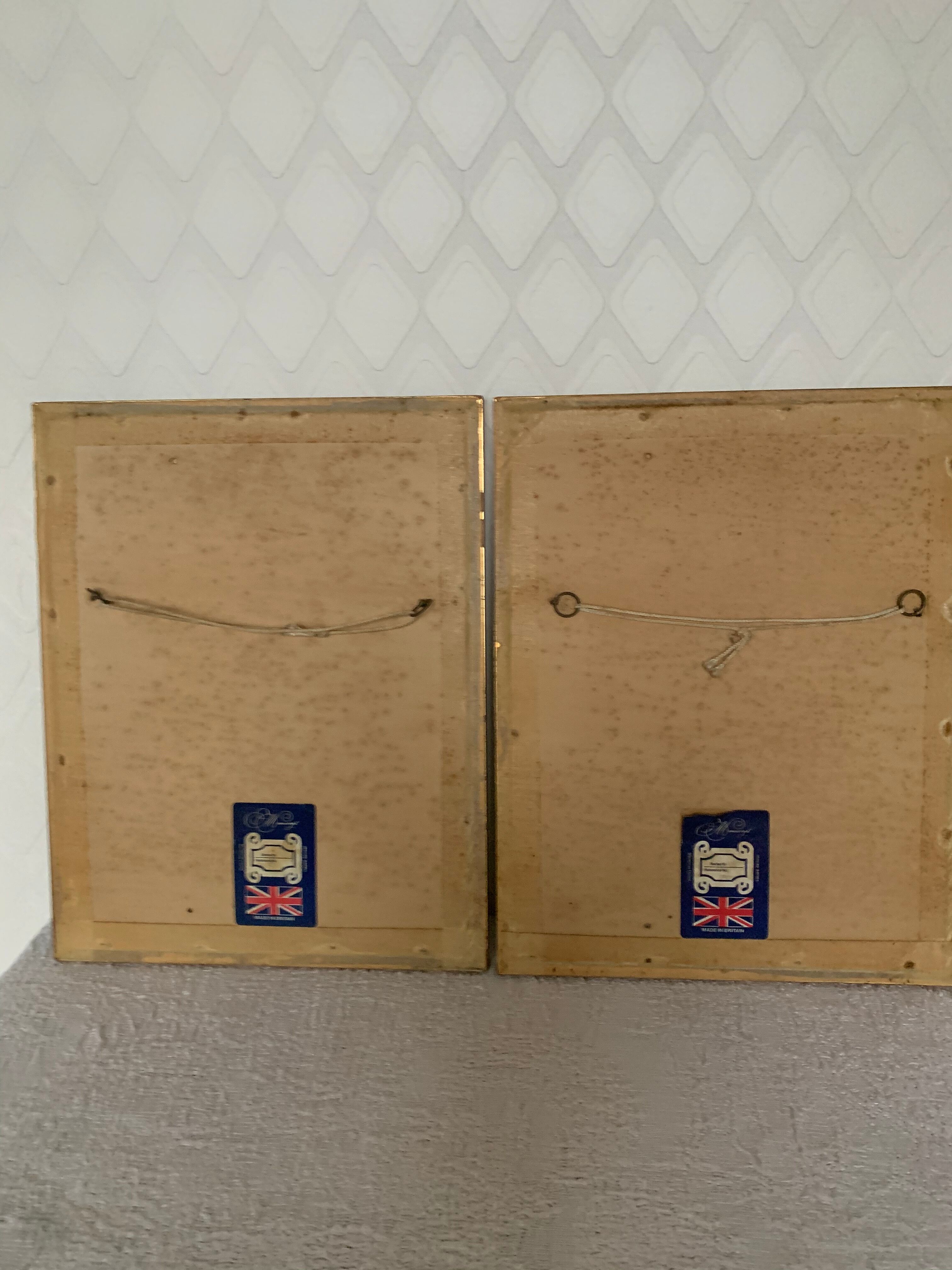 2 old John Gould illustrations