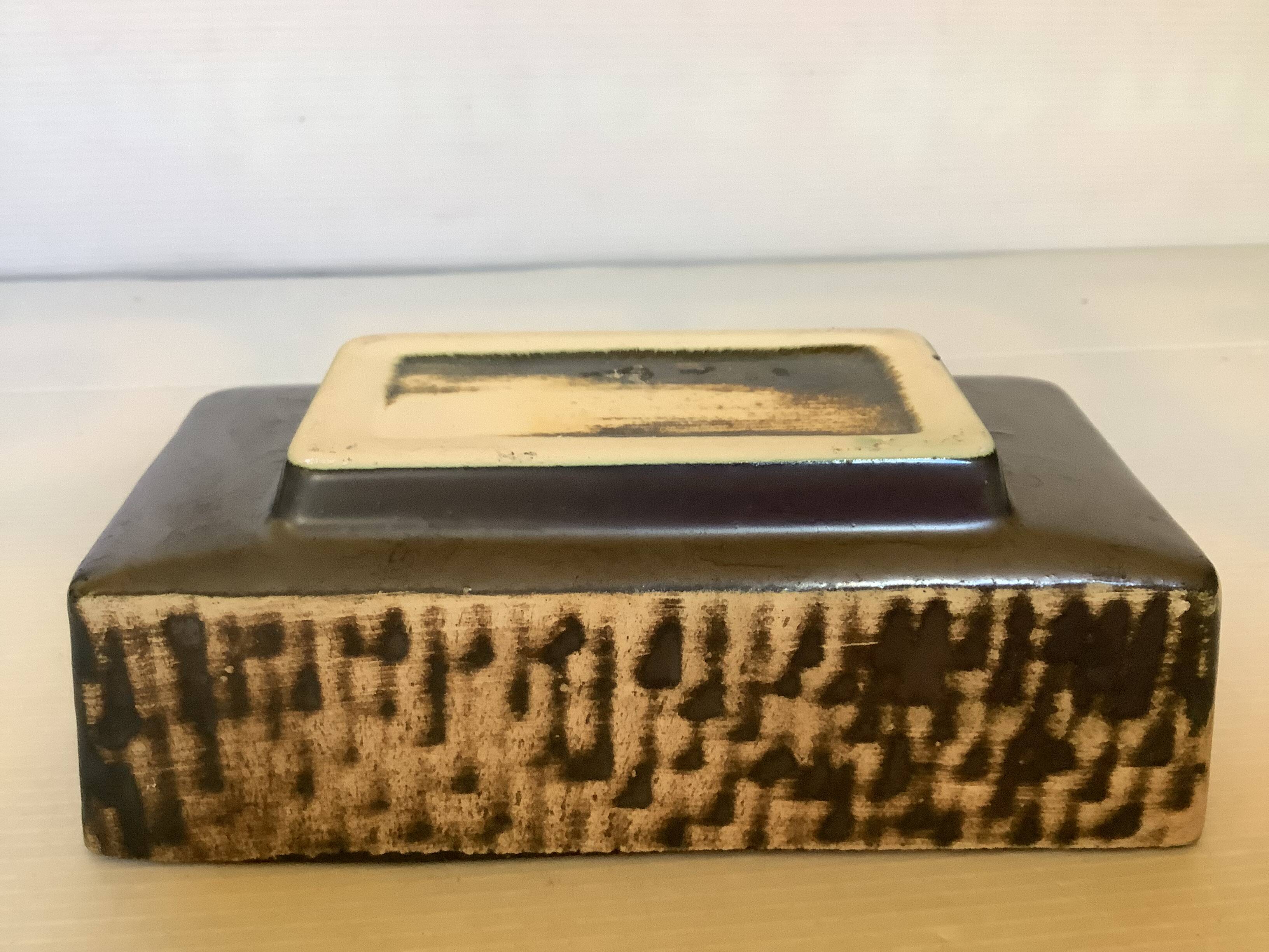 Small cactus planter Aldi Reuver Holland