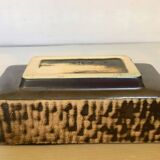 Small cactus planter Aldi Reuver Holland