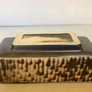 Small cactus planter Aldi Reuver Holland
