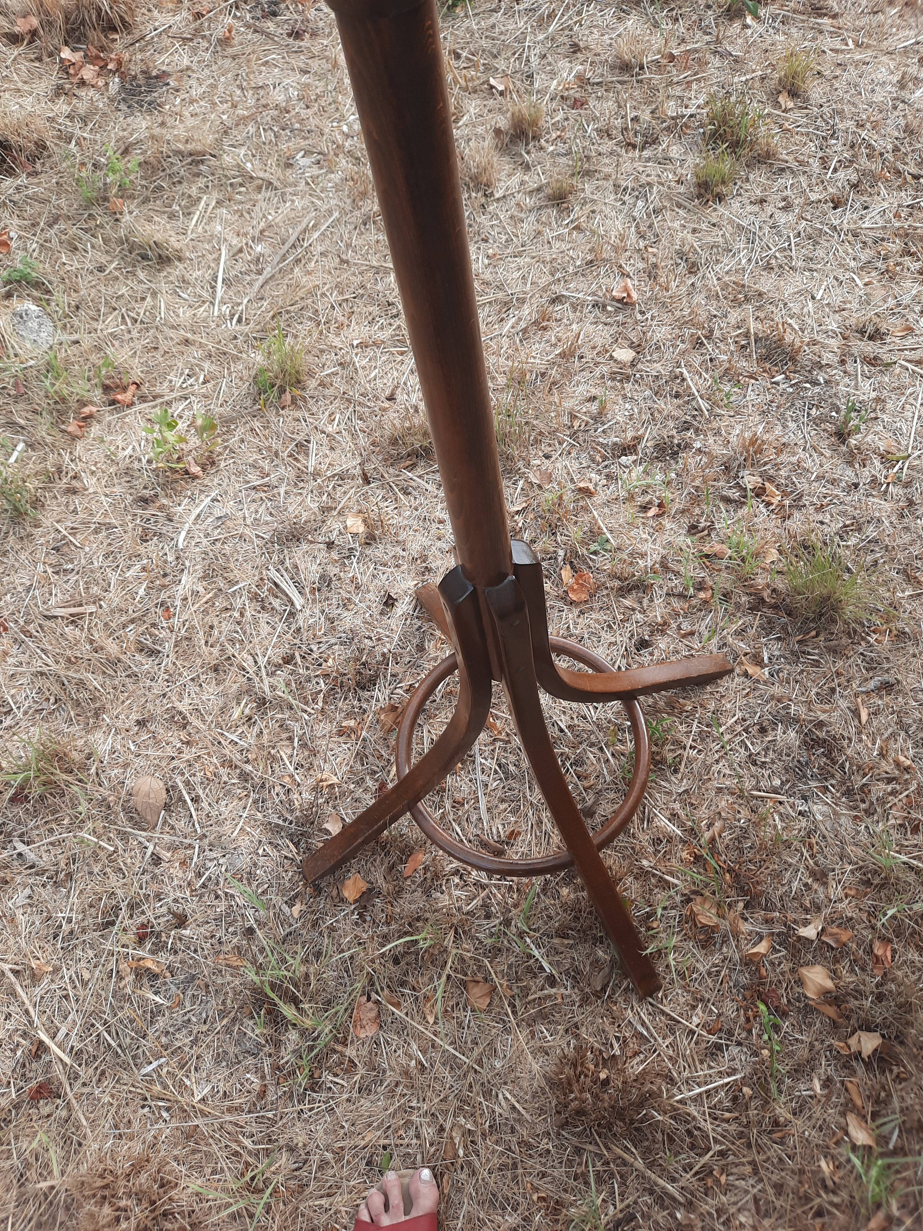 Porte-manteau Baumann "perroquet"