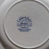 Royal Tudor Grindley porcelain plate and saucer