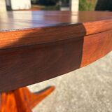 Baumann extendable table