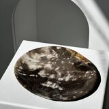 Medium petrified wood dish or pocket emptier, predominantly gray 1137