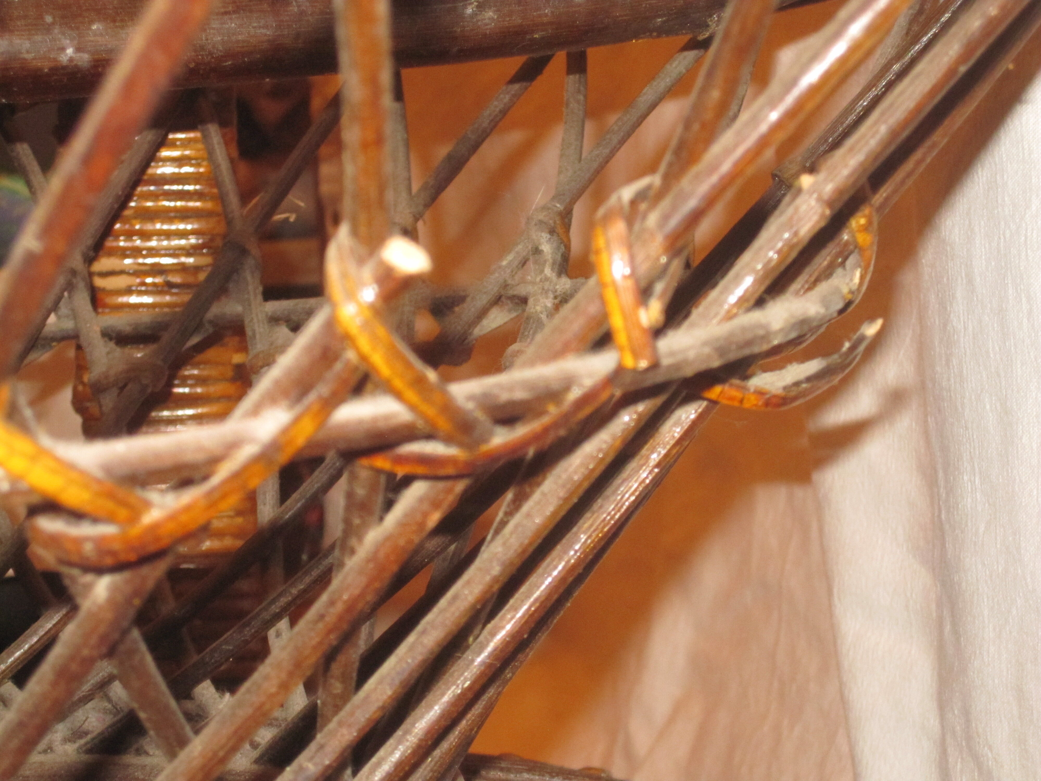 Emmanuelle rattan armchair