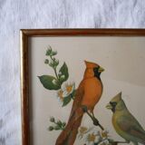 Freund bird frame