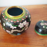 Ginger pot