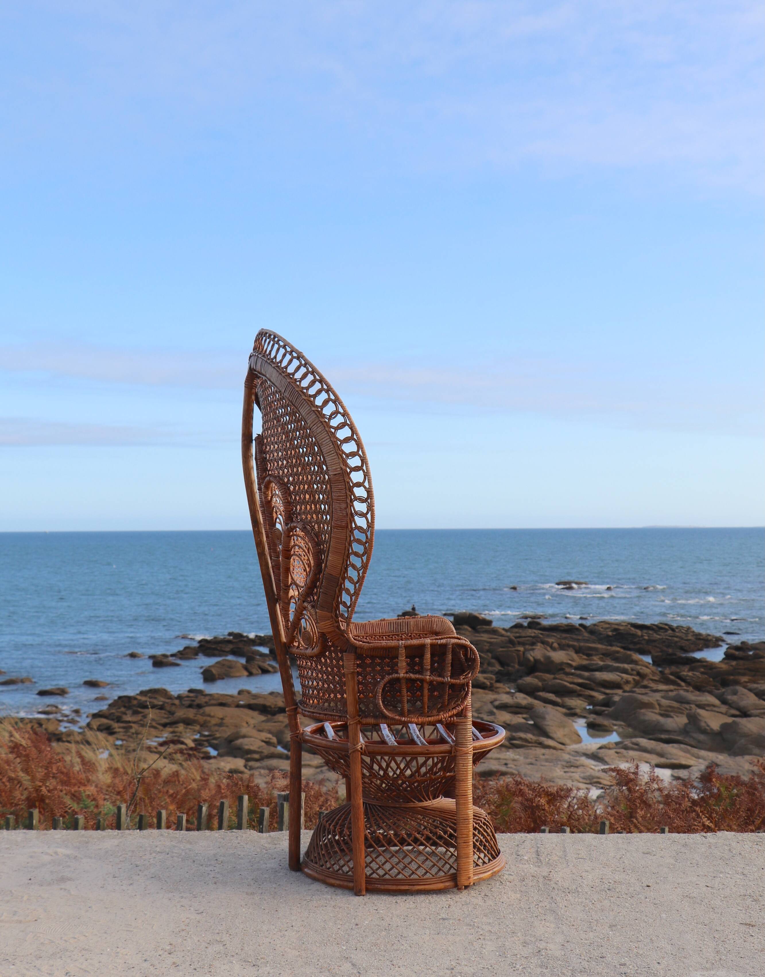 "Emmanuelle" armchair (Peacock chair) in rattan, 20th century