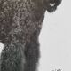 Old photograph, silver print, canine portrait signed "Dim" Henri Dimont 32 x 25 cm