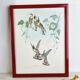 Lot de 7 chromolithographies oiseaux années 50