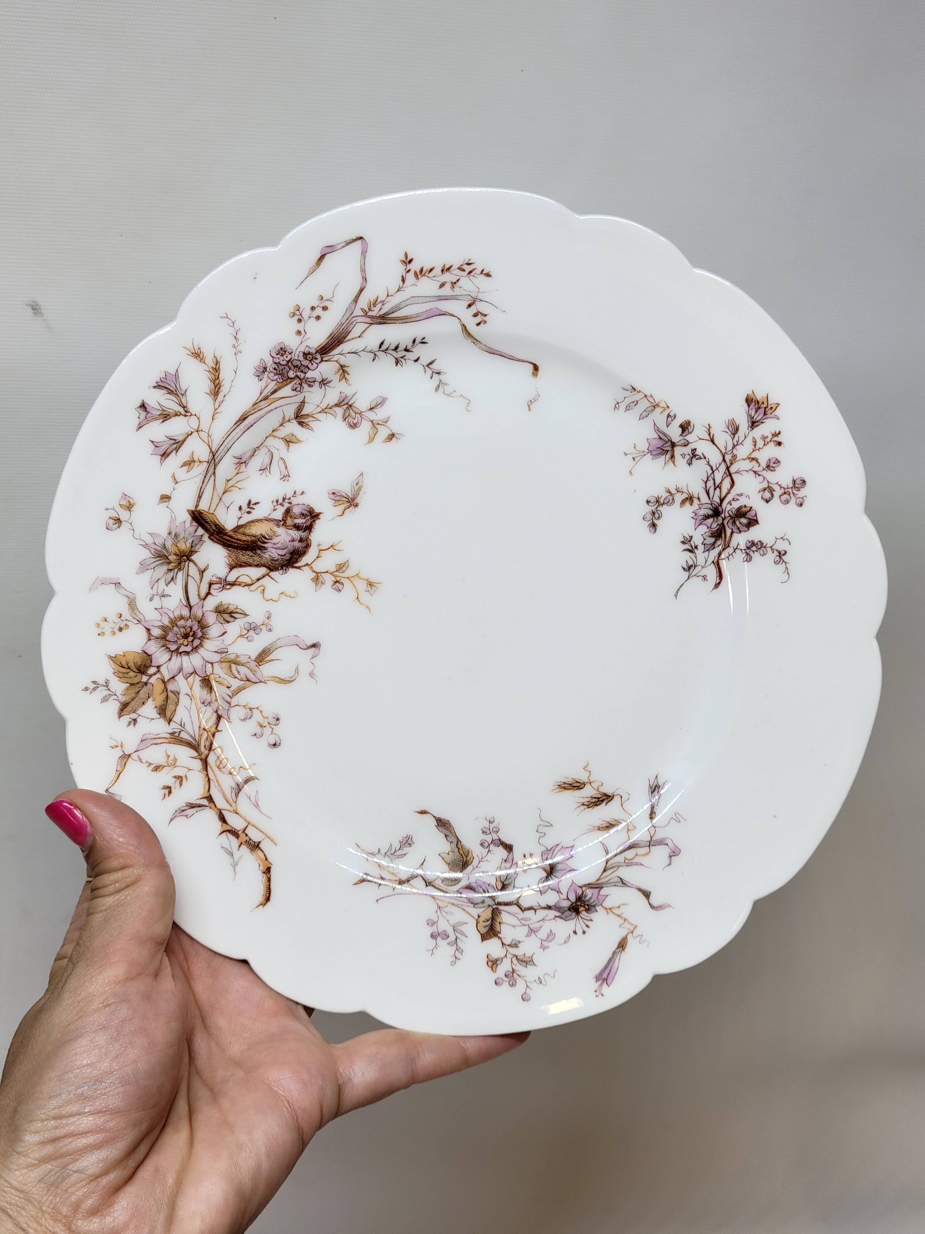 8 Superb Antique 19th Century Plates Decorated with Birds on Branches