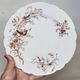 8 Superb Antique 19th Century Plates Decorated with Birds on Branches