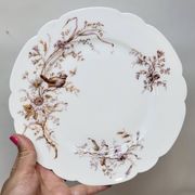 8 Superbes Assiettes Anciennes XIXème Décor Aux Oiseaux Sur Des Branches