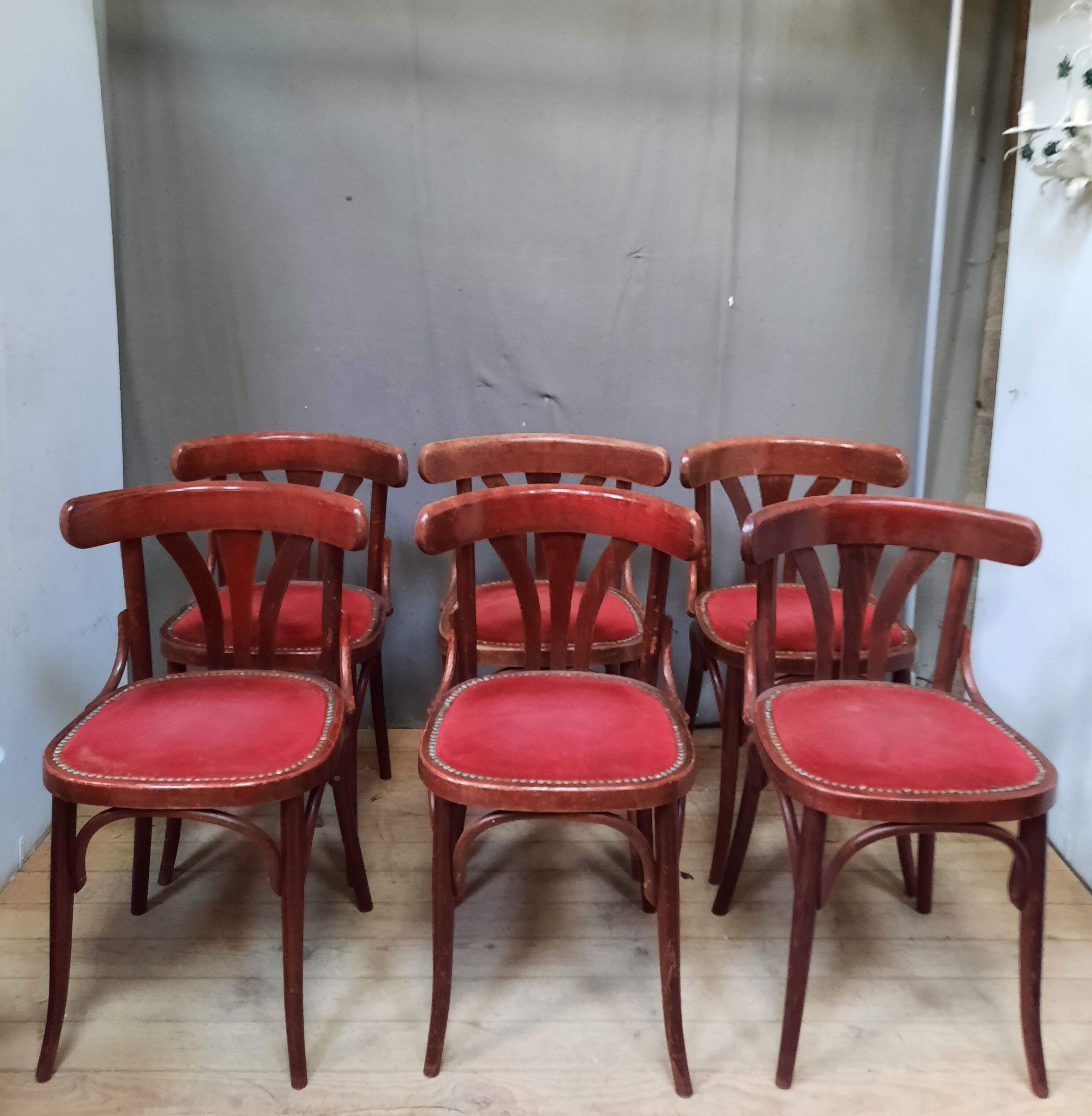 Serie de 6 chaises bistrot en bois courbé