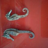 Set of 2 seahorses stuffed