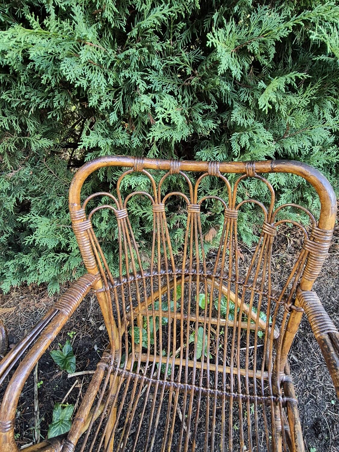 Paire de sieges en rotin annee 1950