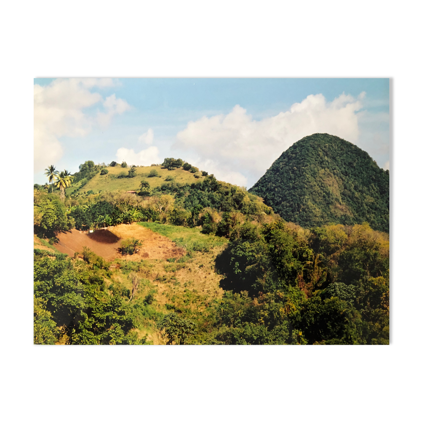 Photo Couleur Paysage Tropical