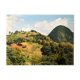 Photo Couleur Paysage Tropical