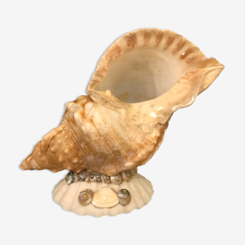 Lampe veilleuse coquillage 1950