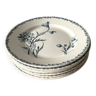 Assiettes Anciennes en Terre de Fer Modèle Marguerite Lunéville - 20,5 cm