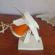 Ventilateur vintage cora vintage années 60 70