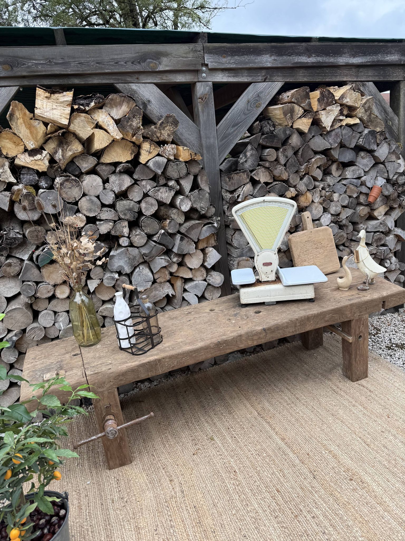 low carpenter's bench / TV cabinet bench