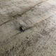 Wooden counter XIXth
