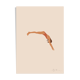 Diving illustration