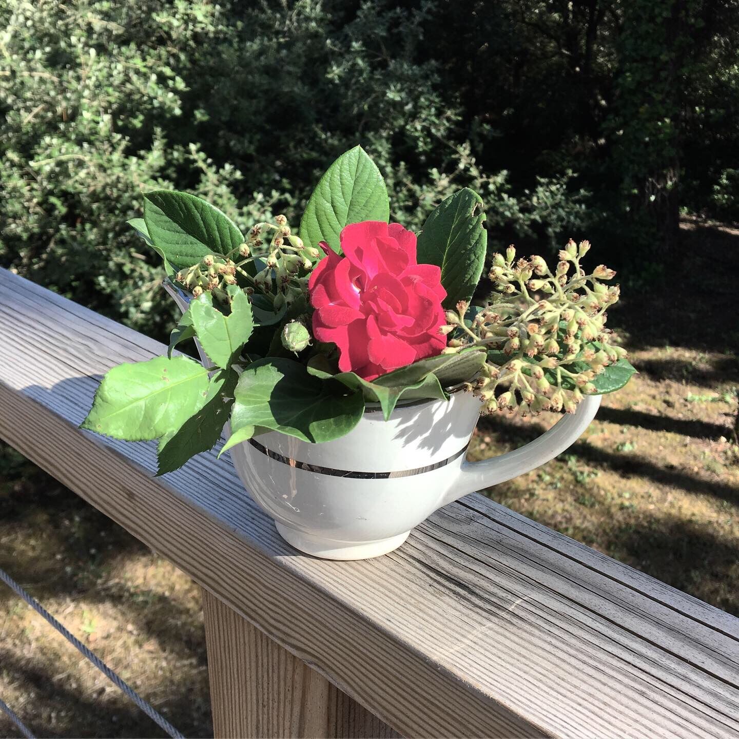 Badonviller earthenware saucer 1930