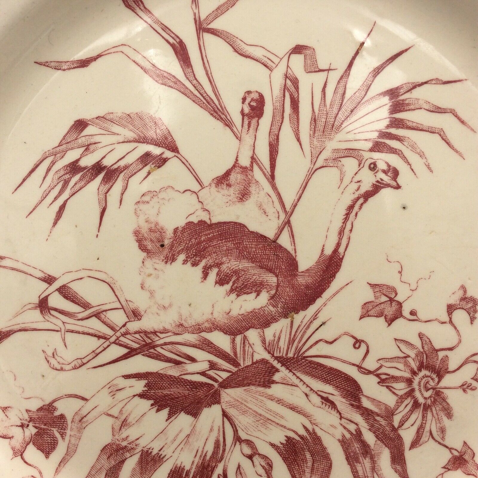 2 ancient plates longchamp congo ostrichs antique french plate ostrich