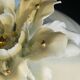 Capodimonte Aita Candy Box