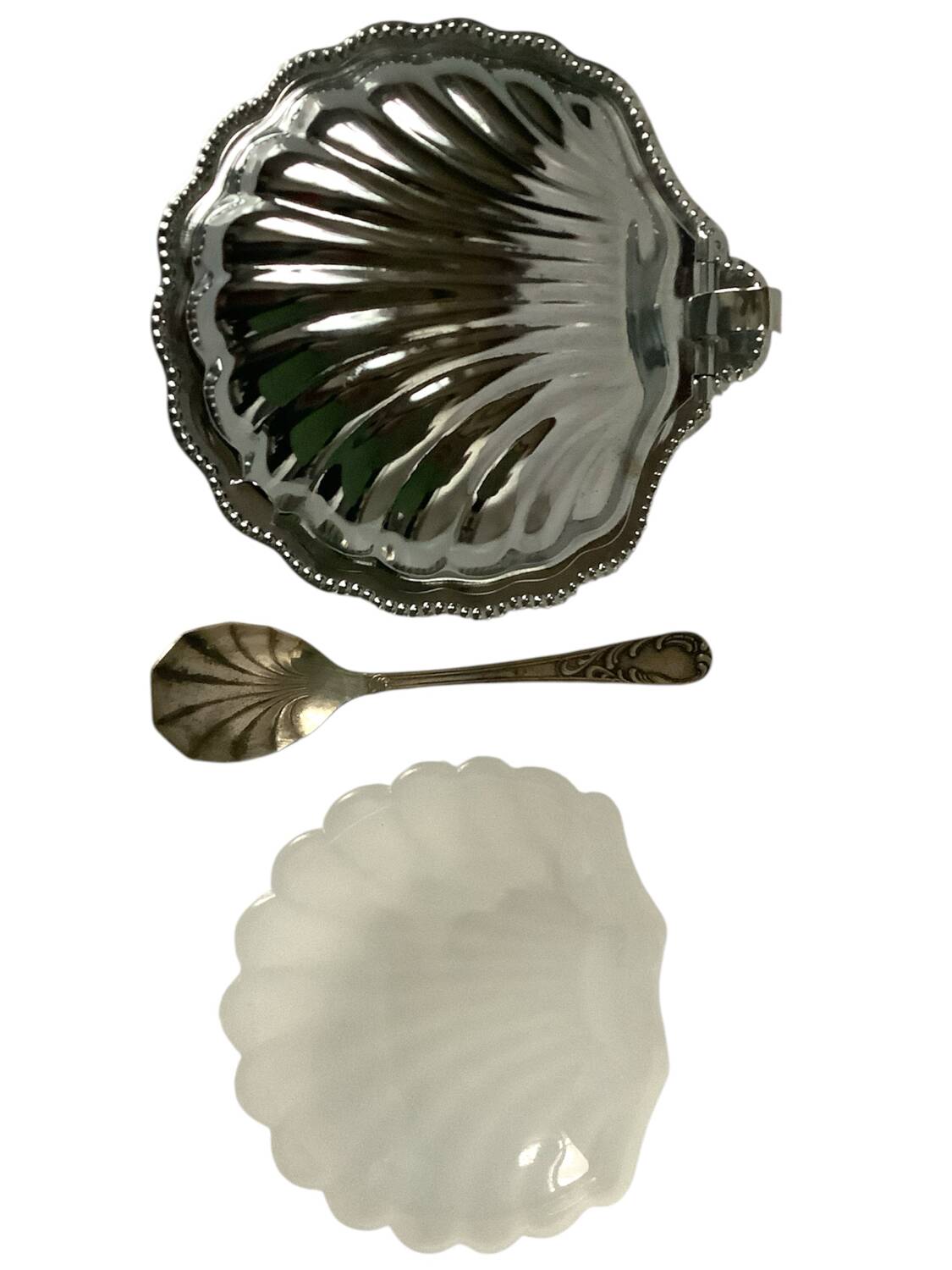 Beurrier coquillage