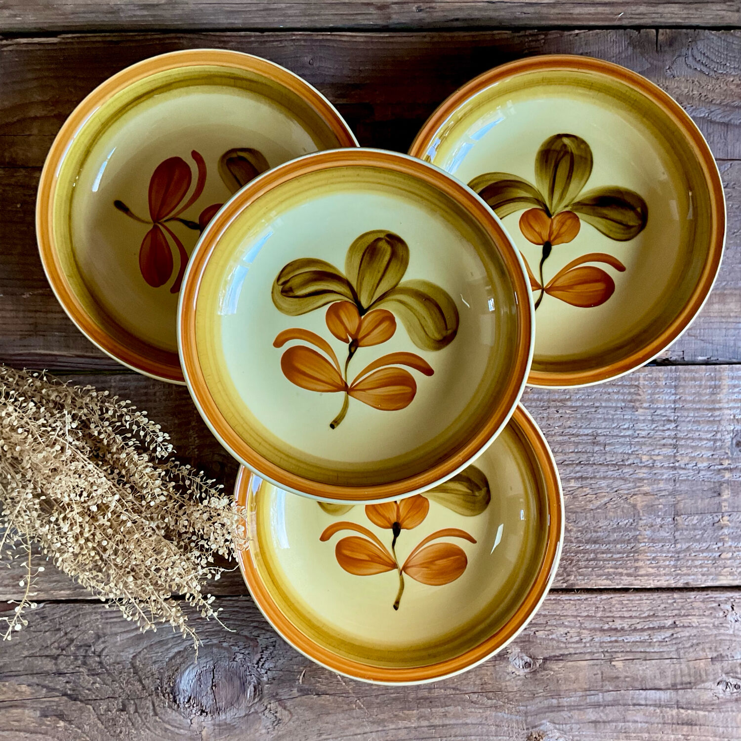4 deep plates "Fuego" Gien France