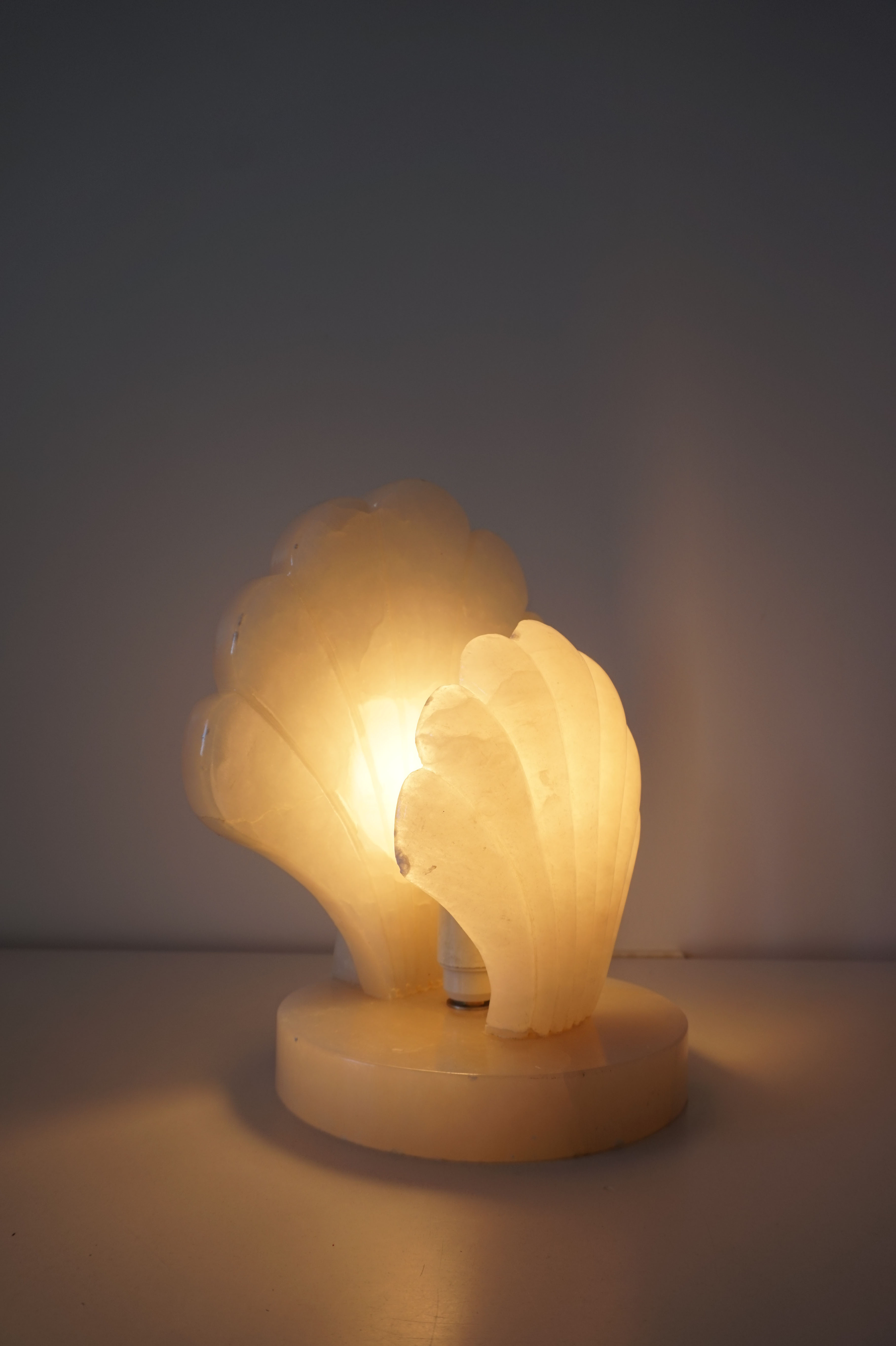 Alabaster shell lamp