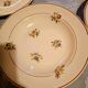 5 deep plates Salins